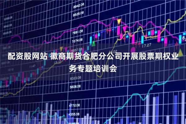 配资股网站 徽商期货合肥分公司开展股票期权业务专题培训会