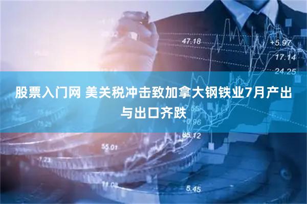 股票入门网 美关税冲击致加拿大钢铁业7月产出与出口齐跌